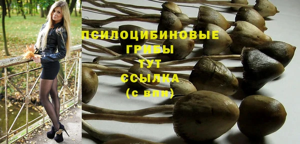 прущая мука Навашино