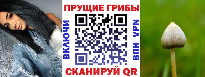 Псилоцибиновые грибы мухоморы  Заволжск 