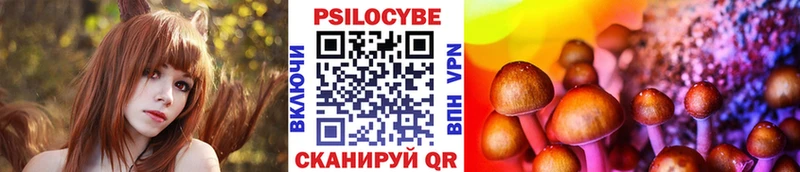 Псилоцибиновые грибы MAGIC MUSHROOMS Заволжск